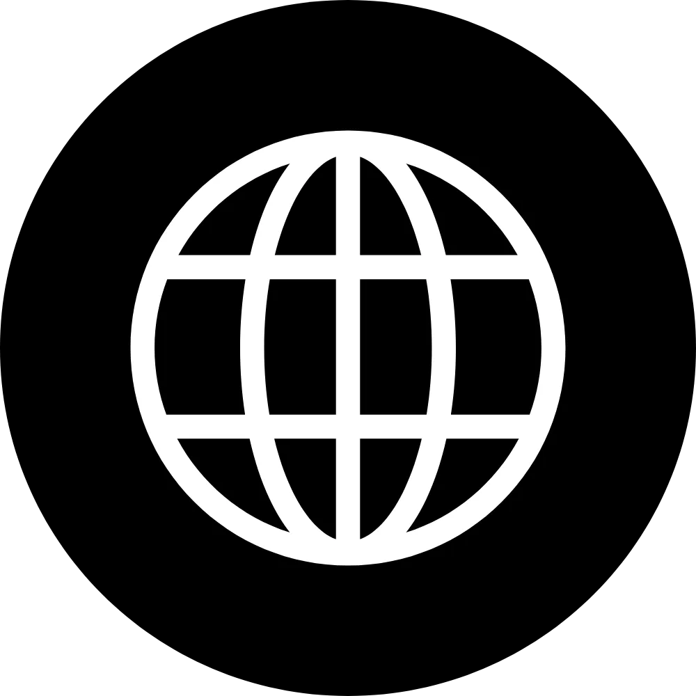 Black globe icon representing global paid advertising solutions.