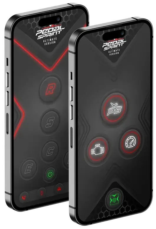 A bird flying over a tree filled with red flowers