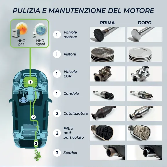 A bird flying over a tree filled with red flowers