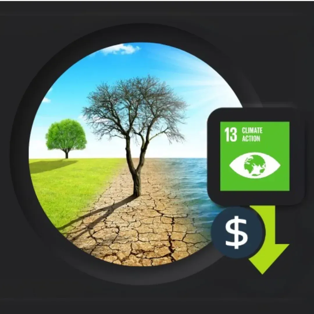 Certificación LEED para edificios ecológicos