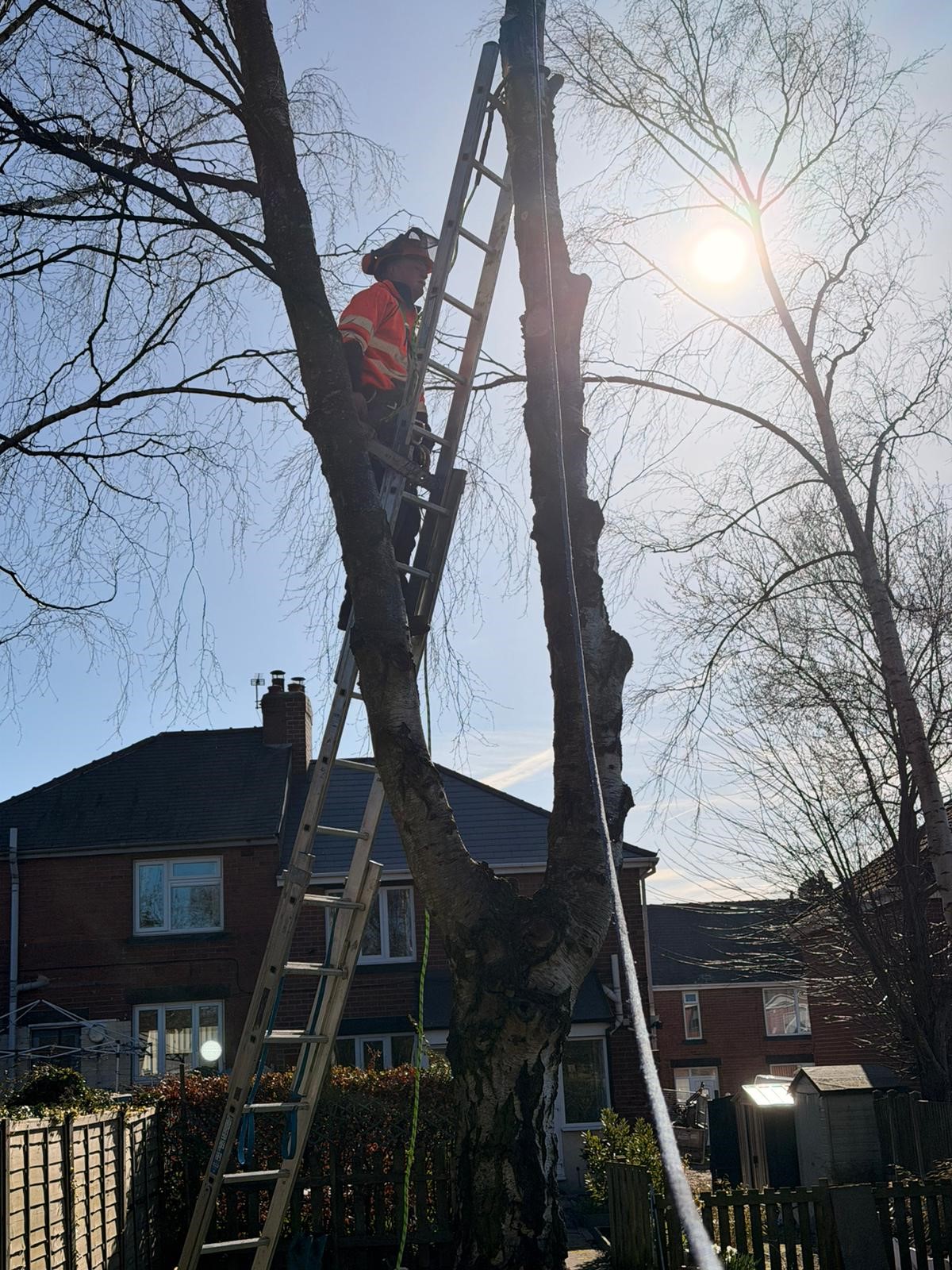 Tree Work & Stump Grinding in East Yorkshire