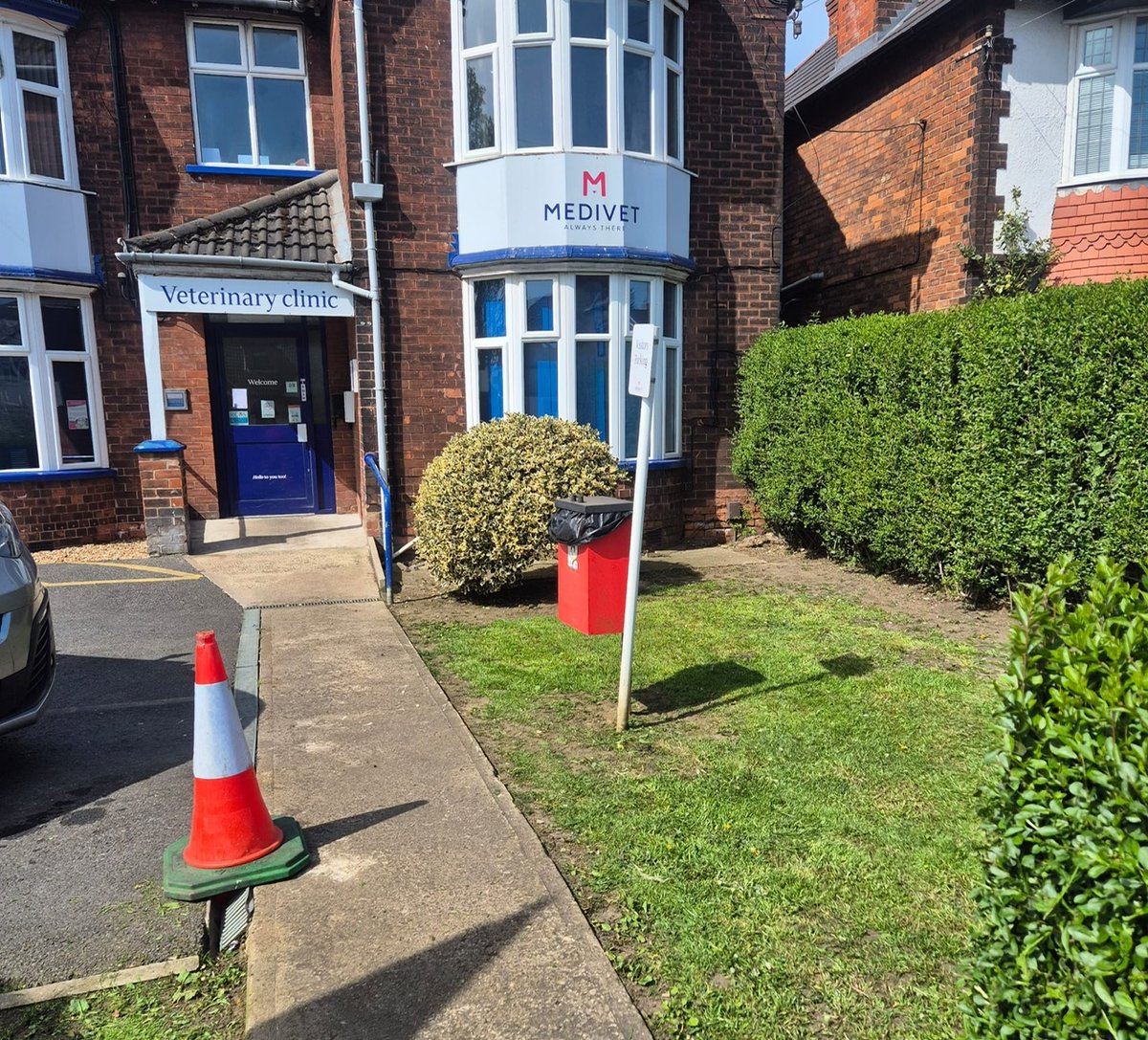 Tree Work & Stump Grinding East Yorkshire