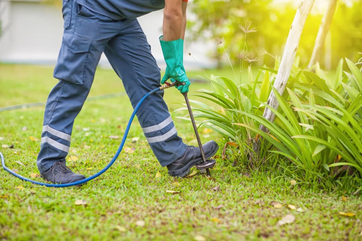 Landscaping