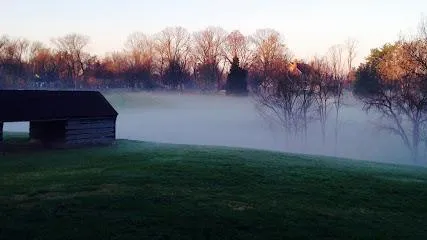 Landscaping Louisville