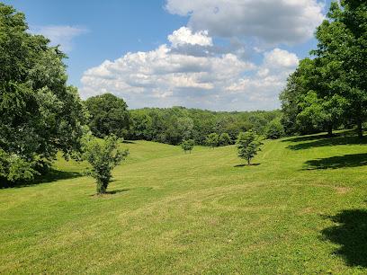 Landscaping Louisville