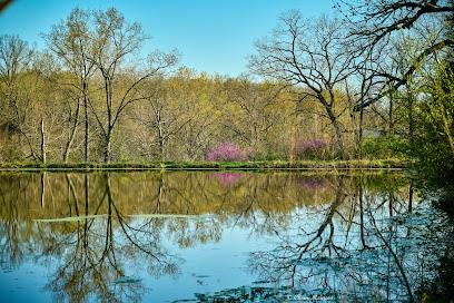 Landscaping Louisville