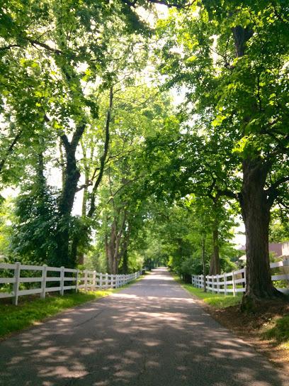 Landscaping Louisville