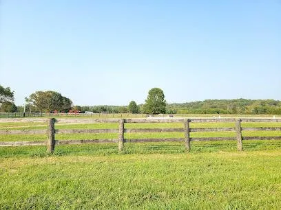 Landscaping Louisville