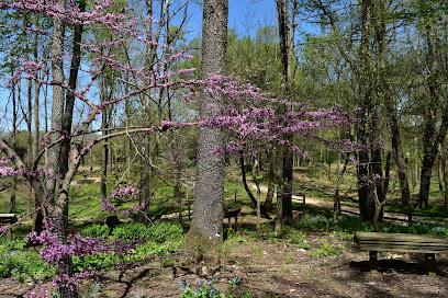 Landscaping Goshen