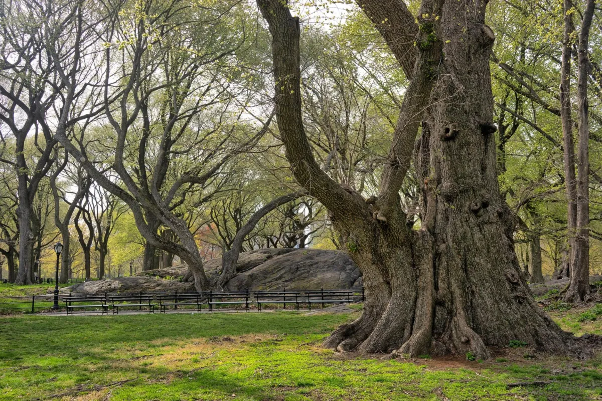 A Guide for Landscaping