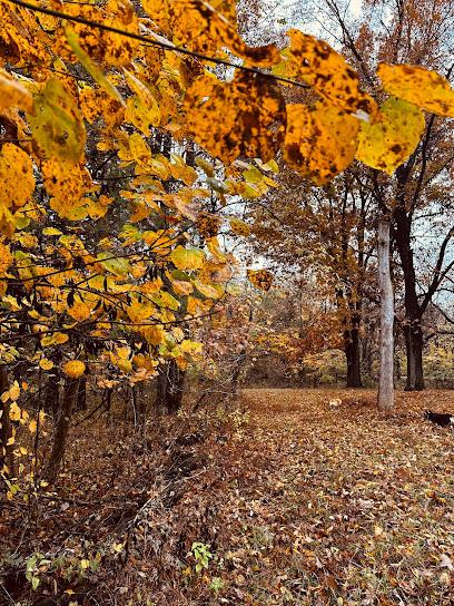 Landscaping Simpsonville