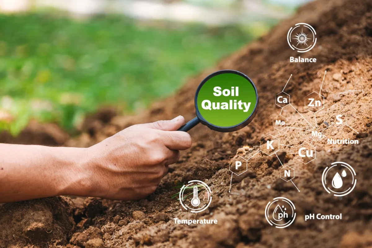 The elements of healthy soil