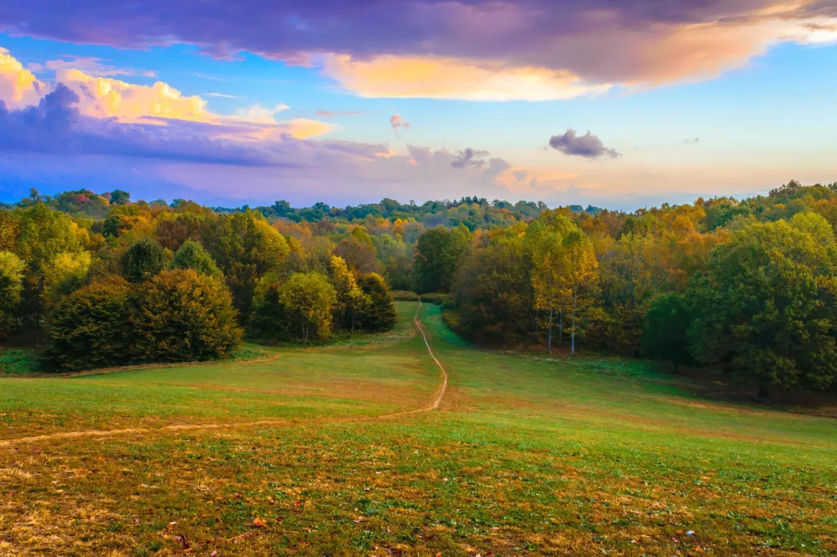 Erosion control mat