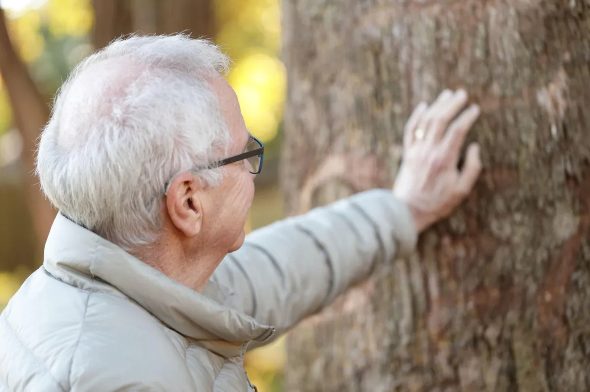 an old man placing a hand on a tree trunk