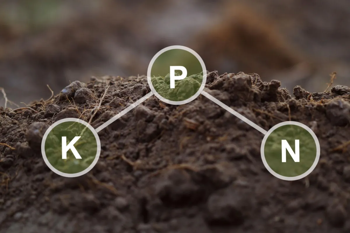 "KPN" soil graphic