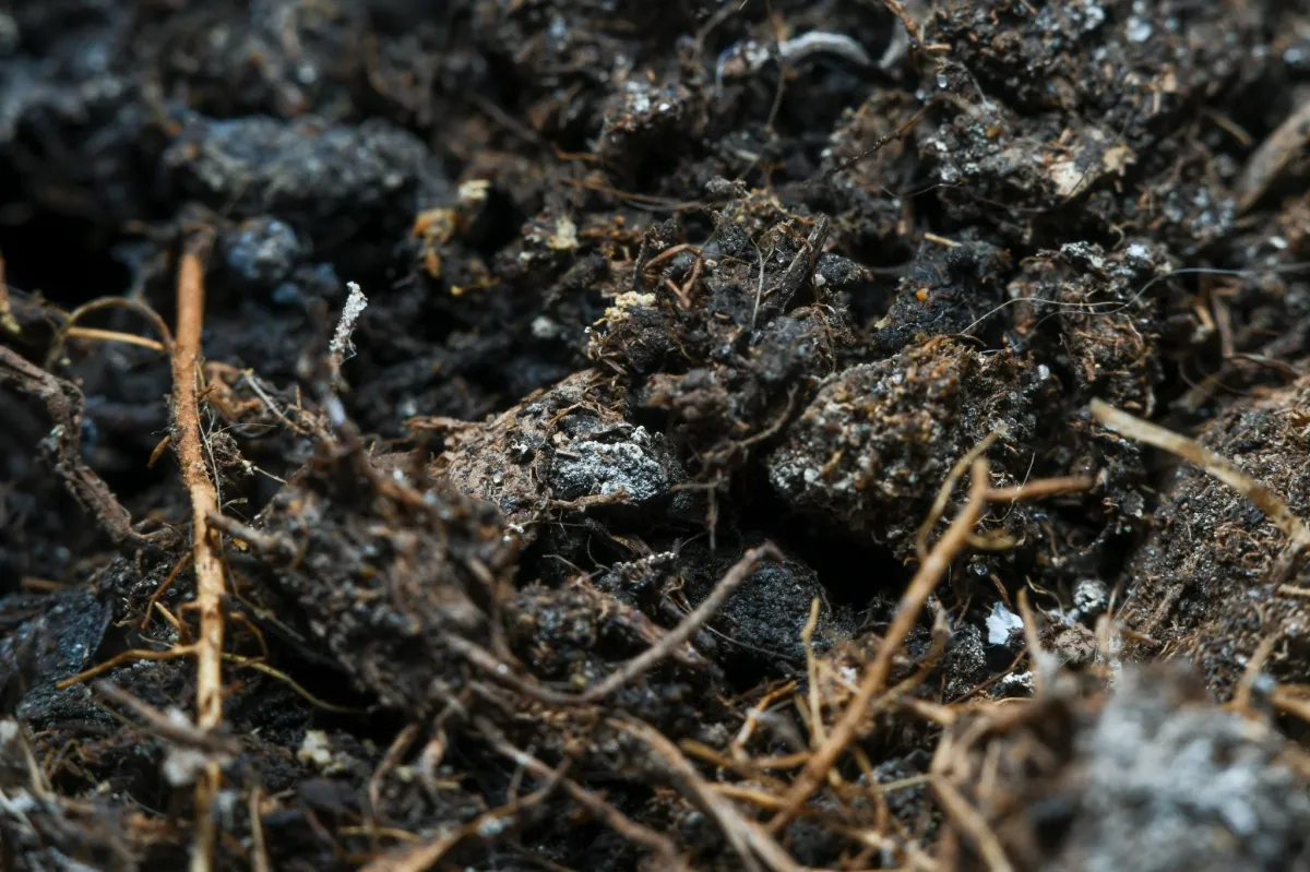 up-close shot of churned soil