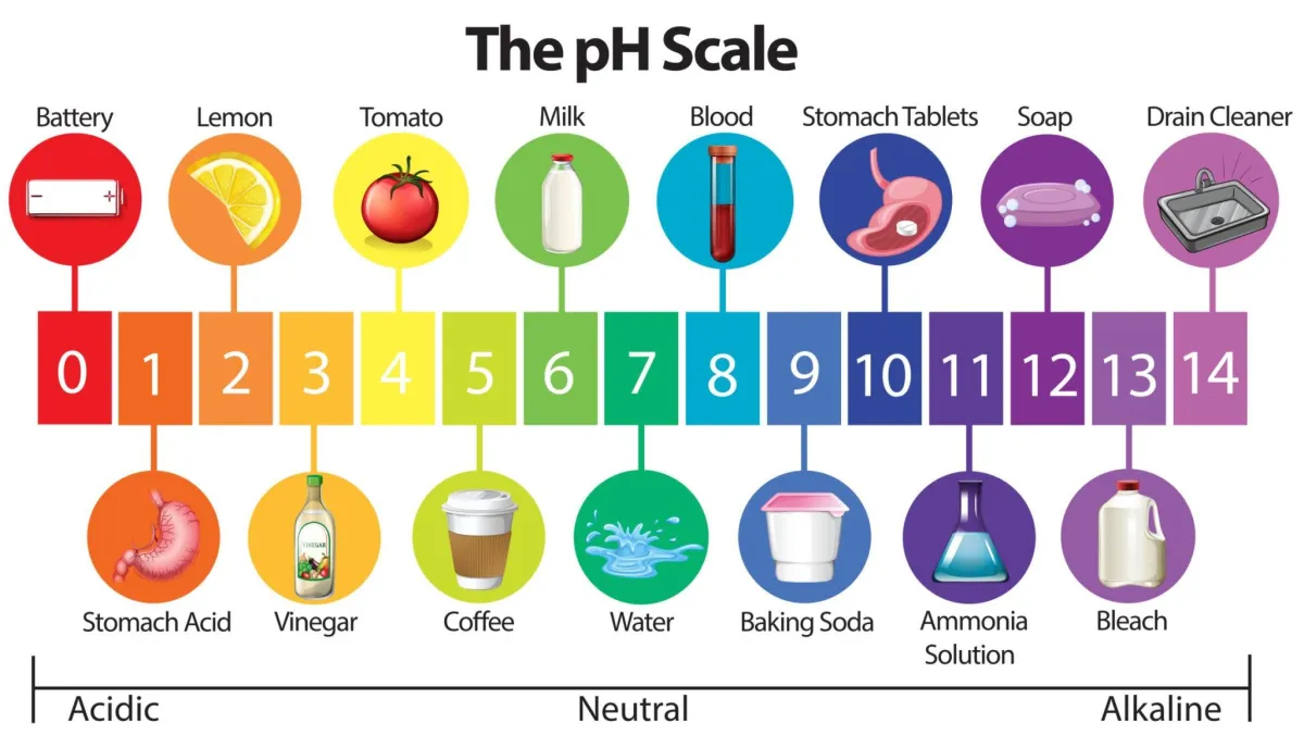 the 0-14 ph scale with graphics on each level