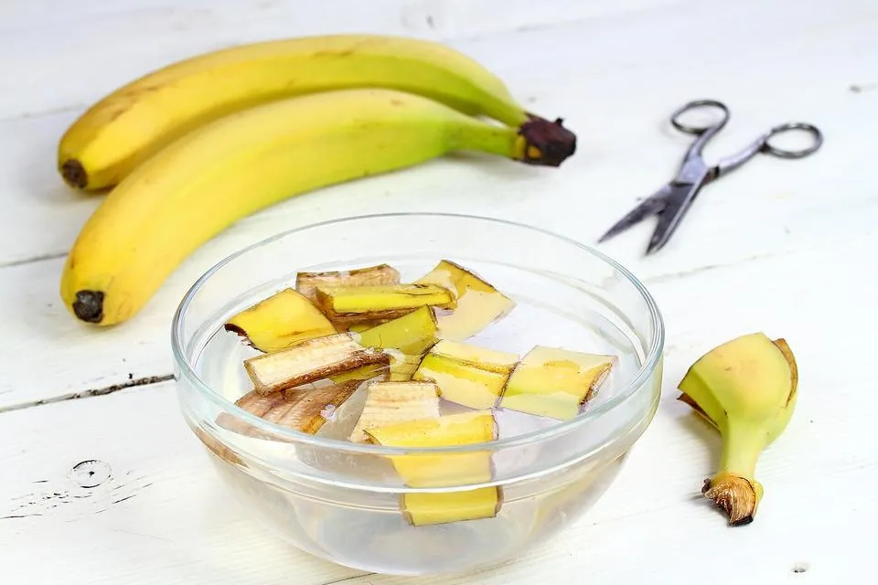 using banana peel to ake fertilizer