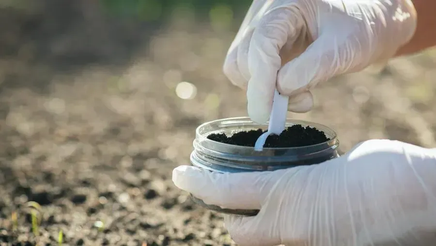 Root & Soil Treatment