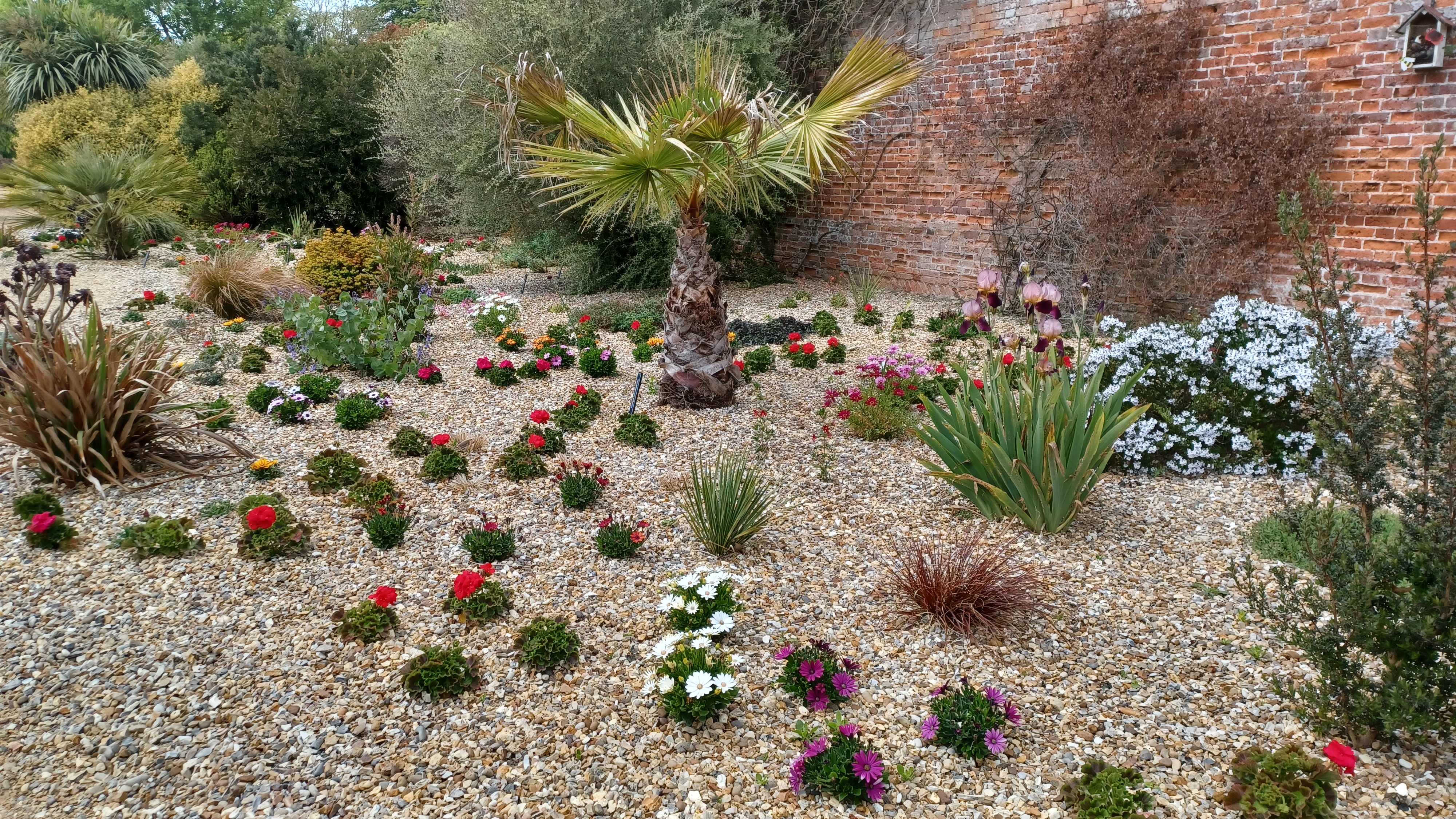 A walled garden with a gravel surface and a mixture of small and larger plants.