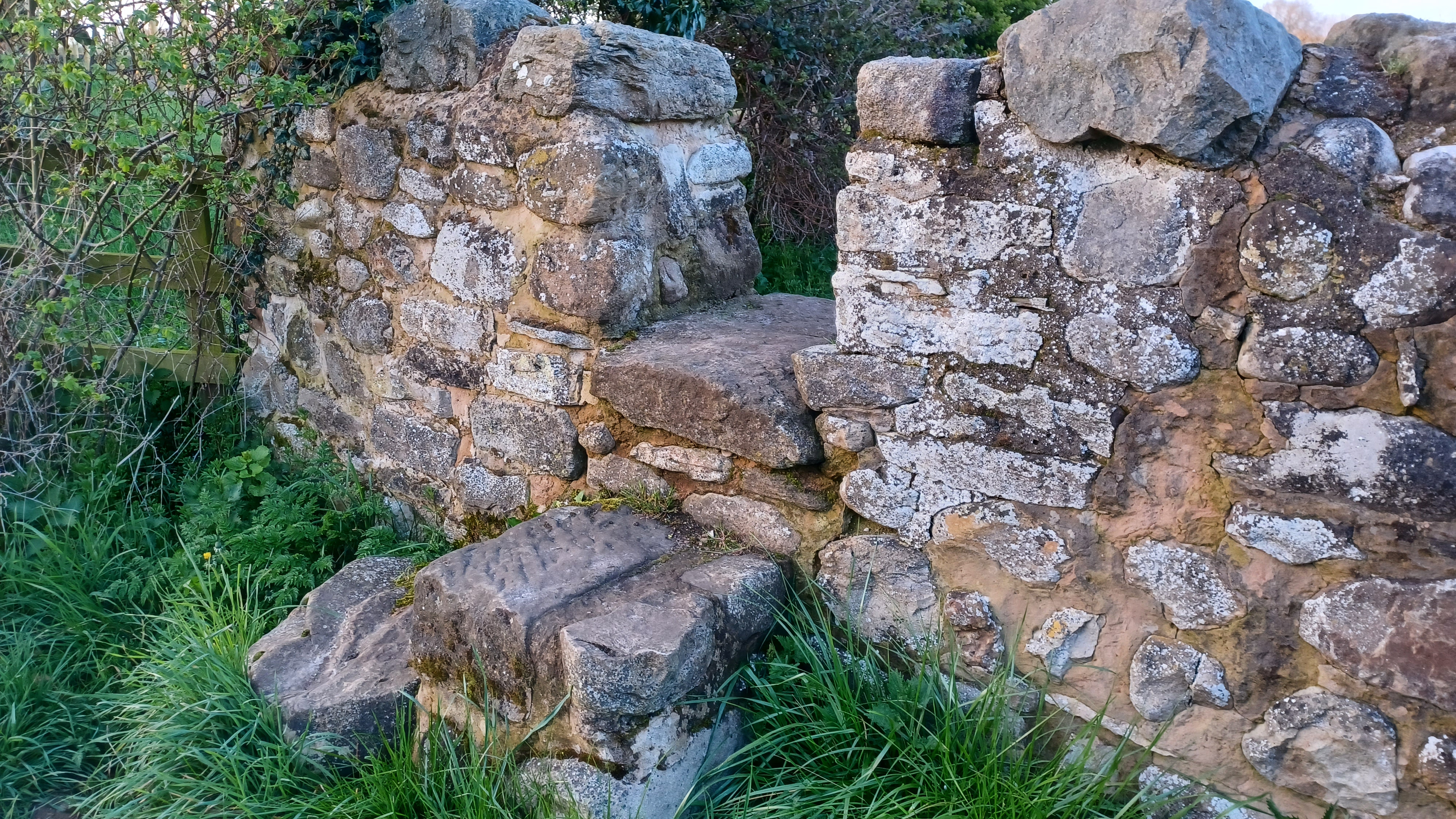 An old stone wall in a field with a stone step as a stile.