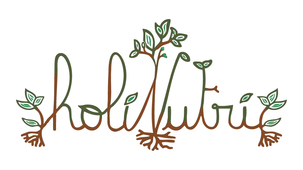 Logo holiNutri EI