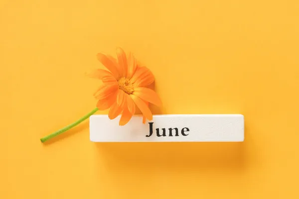 Halfway Through the Year: Celebrate Your Progress, Not Just Your Goals