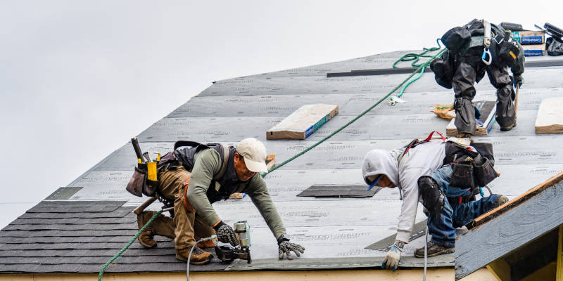 a red tiled roof with ivy growing on it