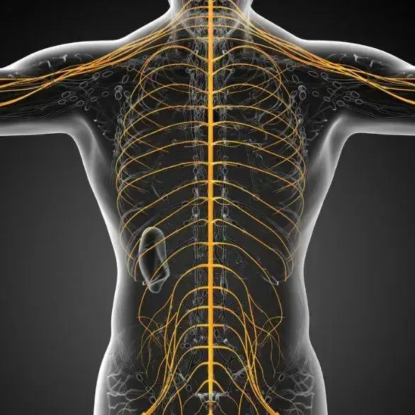 Chiropractor in Tupelo, MS.
