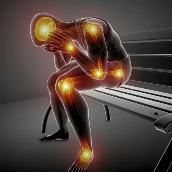 Chiropractor in Tupelo, MS.