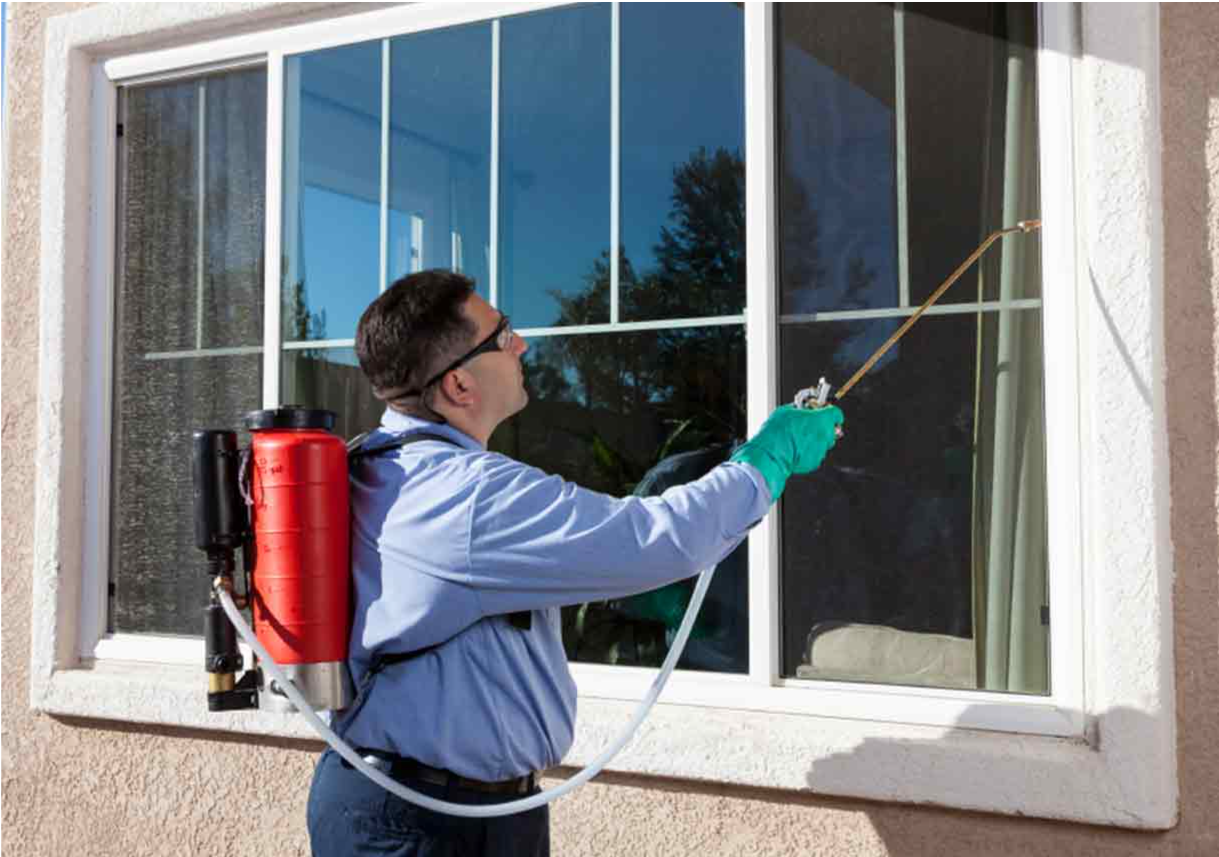 Why Pest Control Companies Lose Jobs During Peak Season