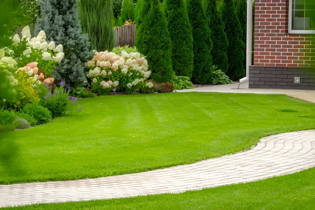 Elk Grove Concrete Solutions - Patios & Walkways - 3