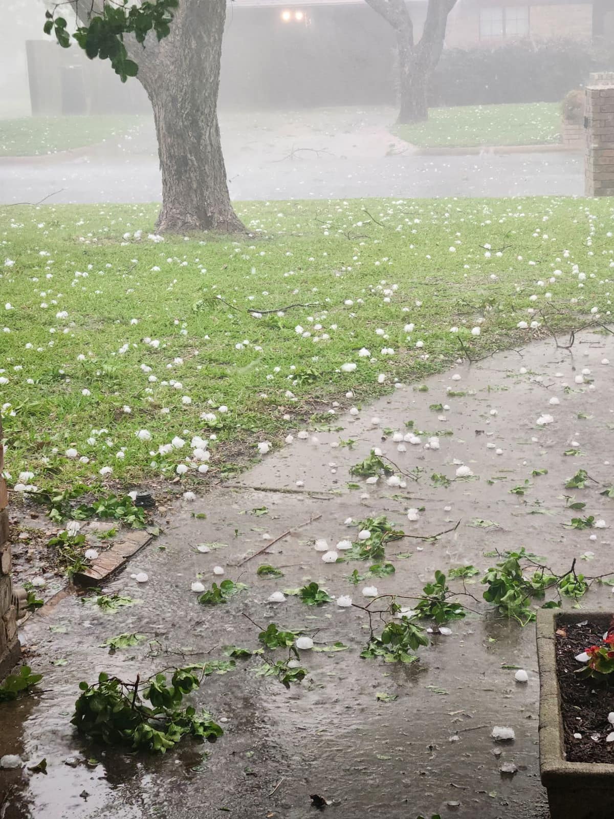 Classroom-style training session with apprentices and a trainer demonstrating panel repair.