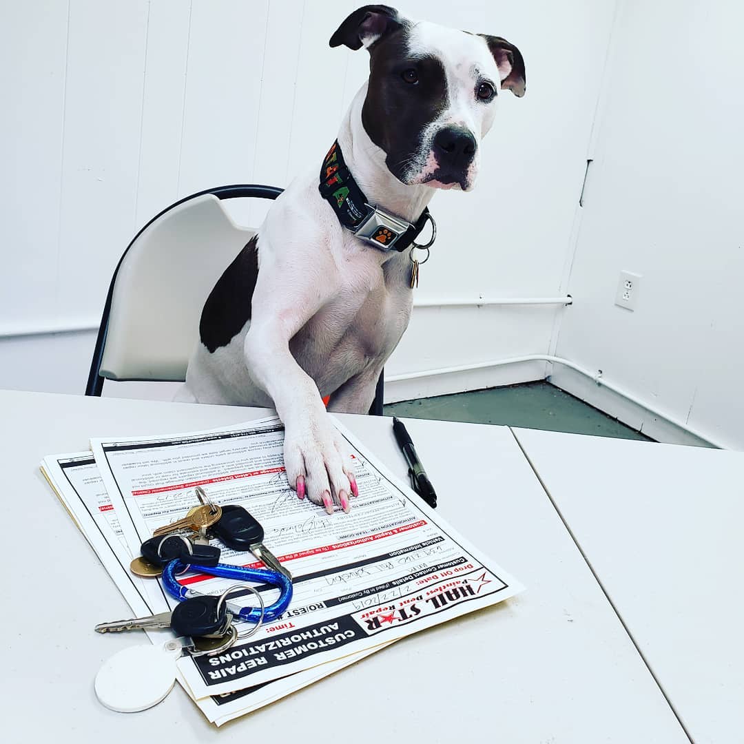Close-shot of hands guiding a trainee through paint mixing, rich color and detail.