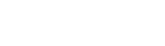 Shopify Partner Logo