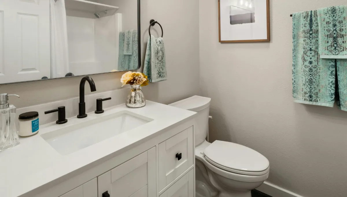 New bathroom appliance installation