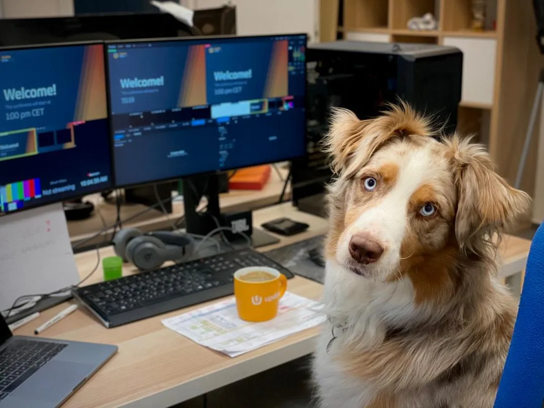 Dog at a workstation representing the systems and daily operations behind a successful dog training business