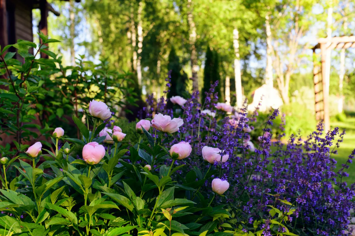 Naturnaher Garten als Lieblingsort und Kraftort