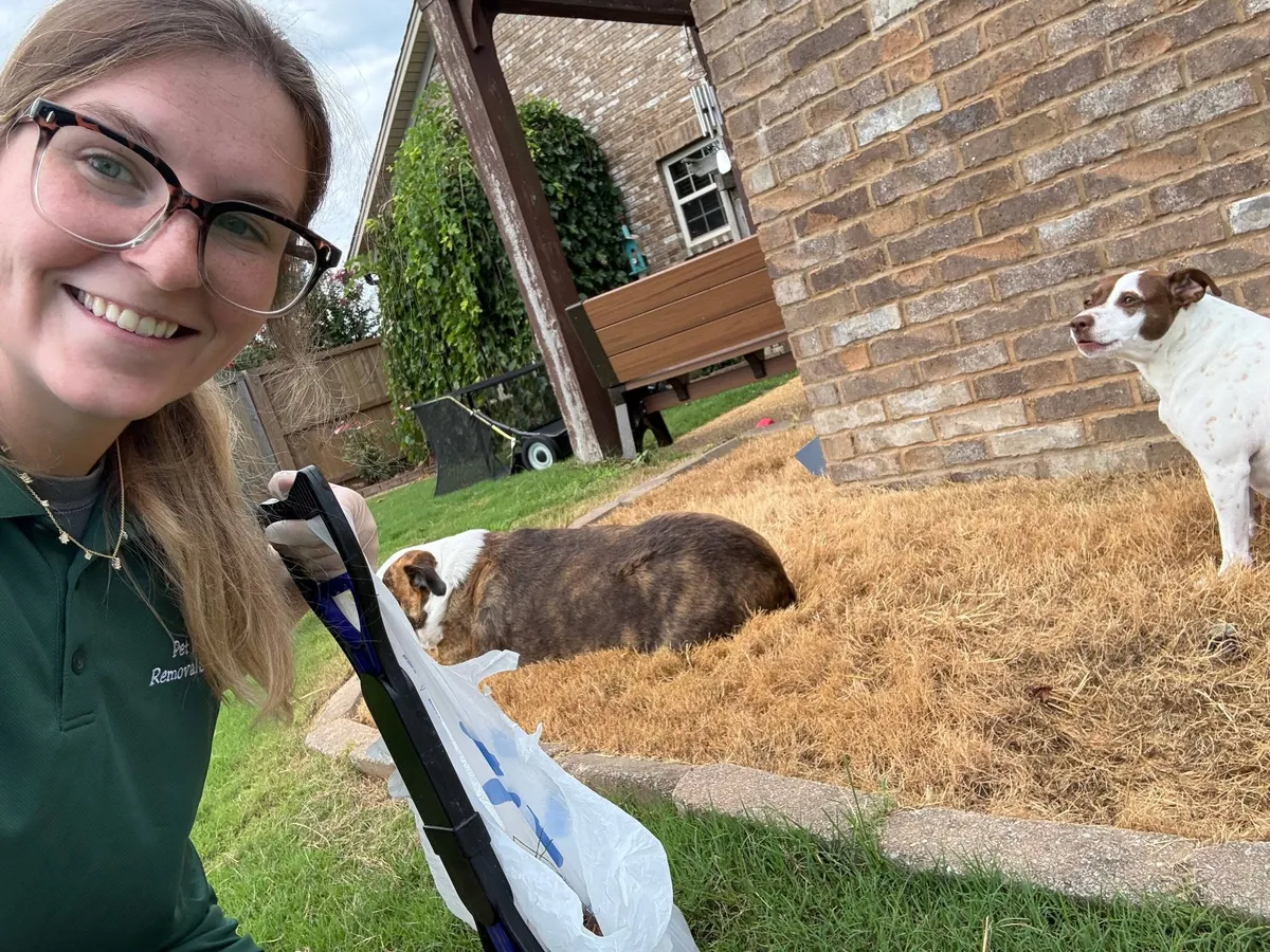 Professional North MS pet waste removal technician in uniform gently greeting a golden retriever in a manicured green yard