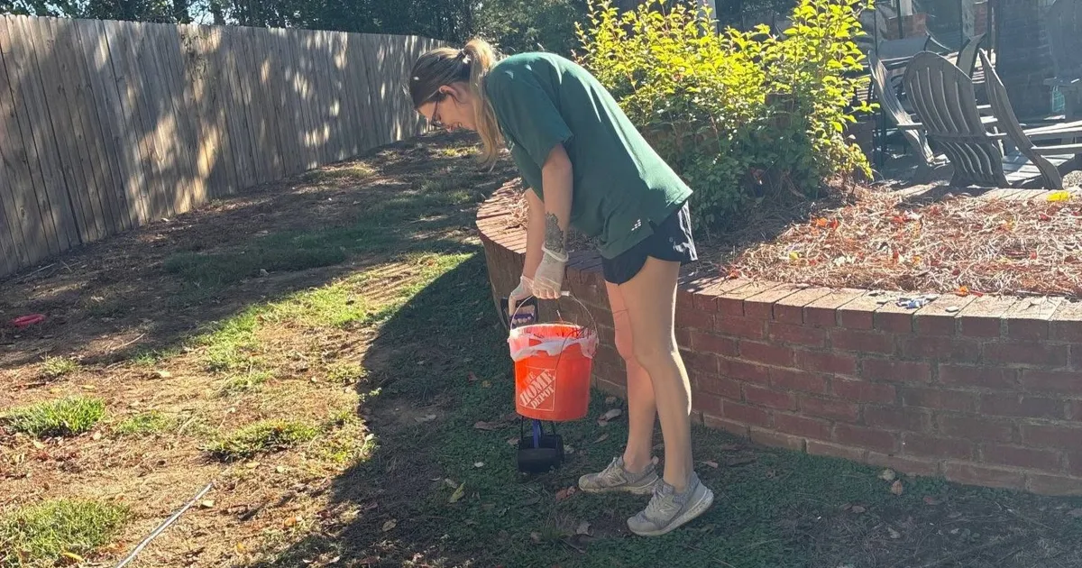 Lush manicured grass receiving complete spring cleanup waste removal