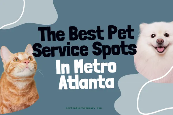 The Best Pet Service Spots in the Metro Atlanta Area