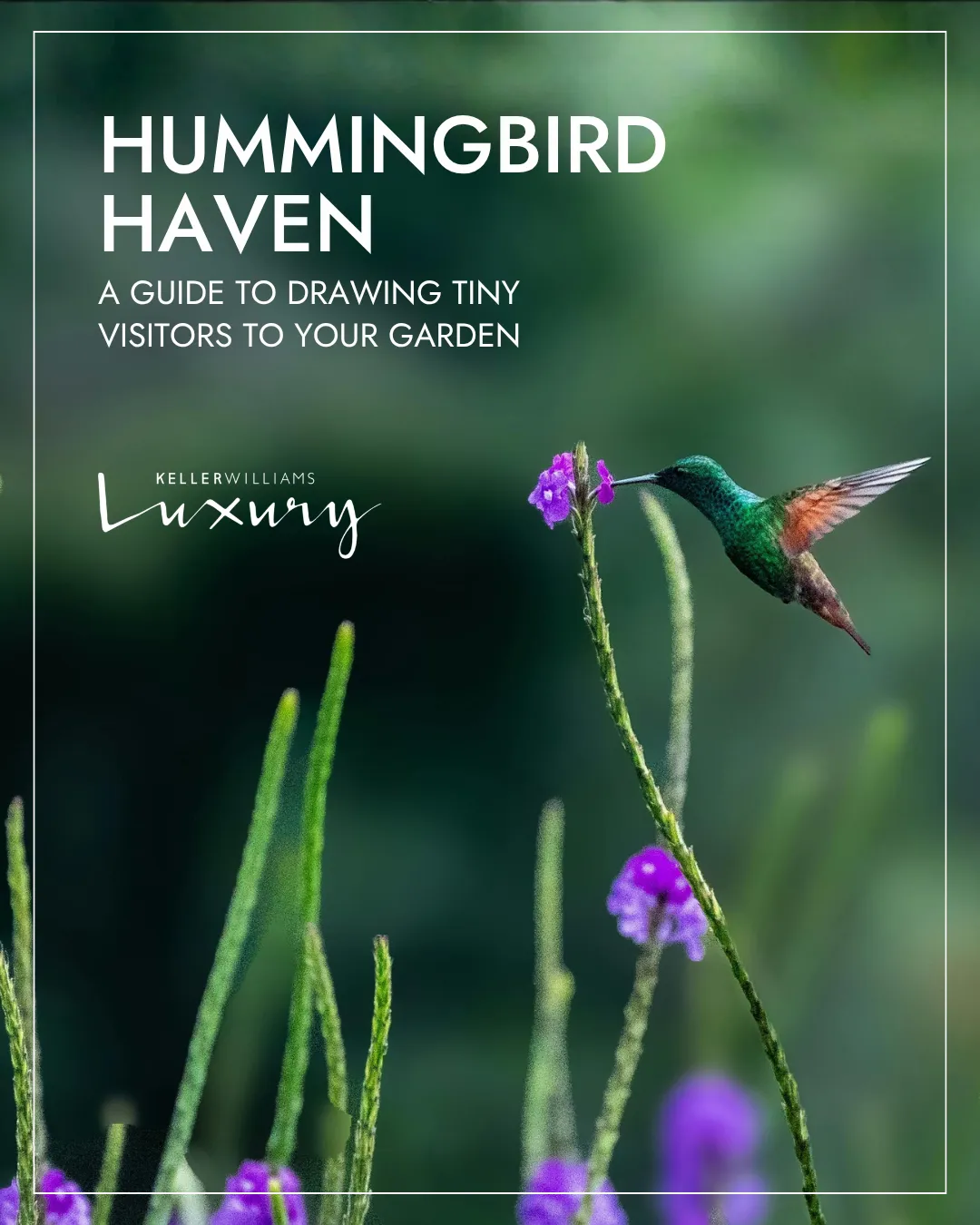 How to Attract Hummingbirds to Your Garden