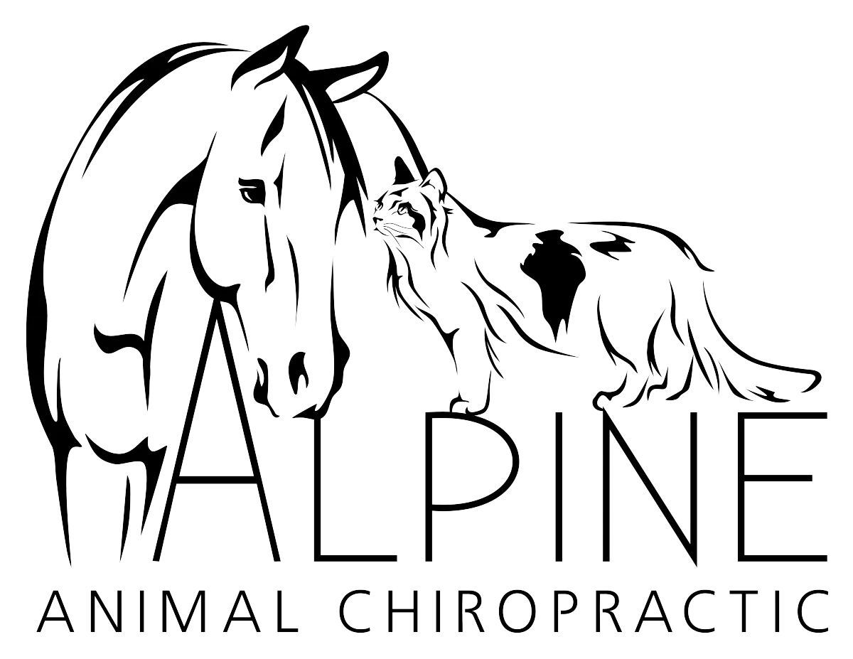 A cheerful golden retriever and a curious tabby cat in a bright, modern veterinary clinic lobby, digital illustration.