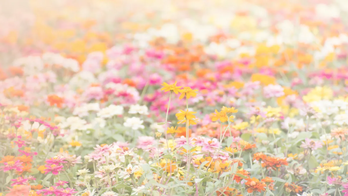 Monday Mindset: SURRENDER — The PRACTICE