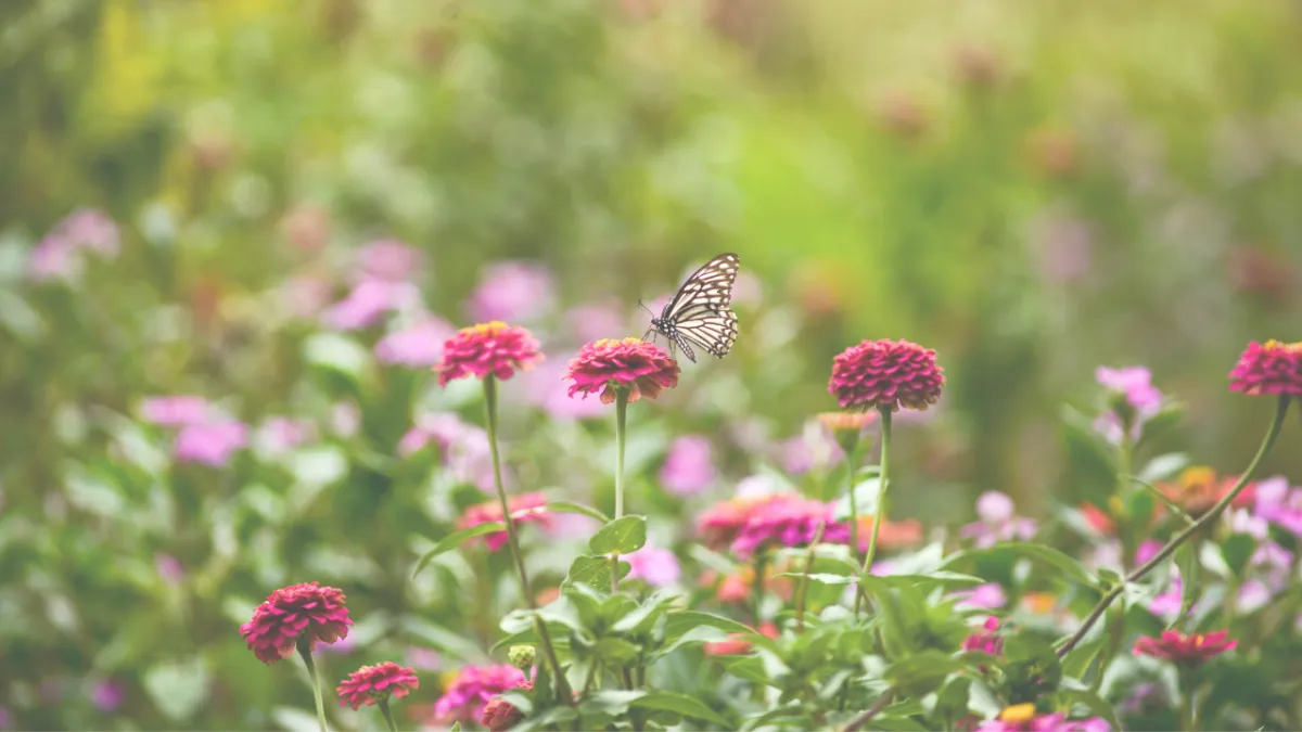 Monday Mindset: Releasing What No Longer Serves You 