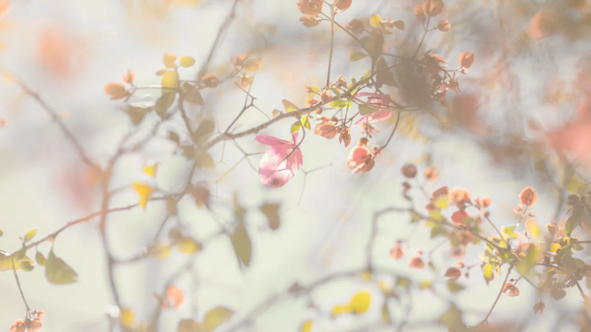 Monday Mindset: Join us for SURRENDER: The Summit - Today at 12pm CST