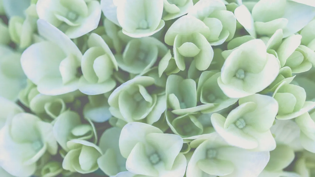 Monday Mindset: Honoring and Reconnecting with Your Younger Self  