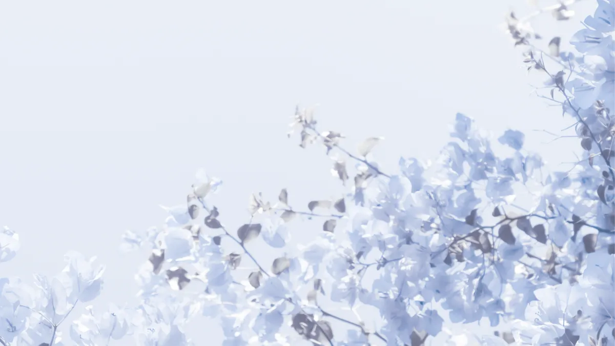  Monday Mindset: Spring Is An Invitation to Begin Again  