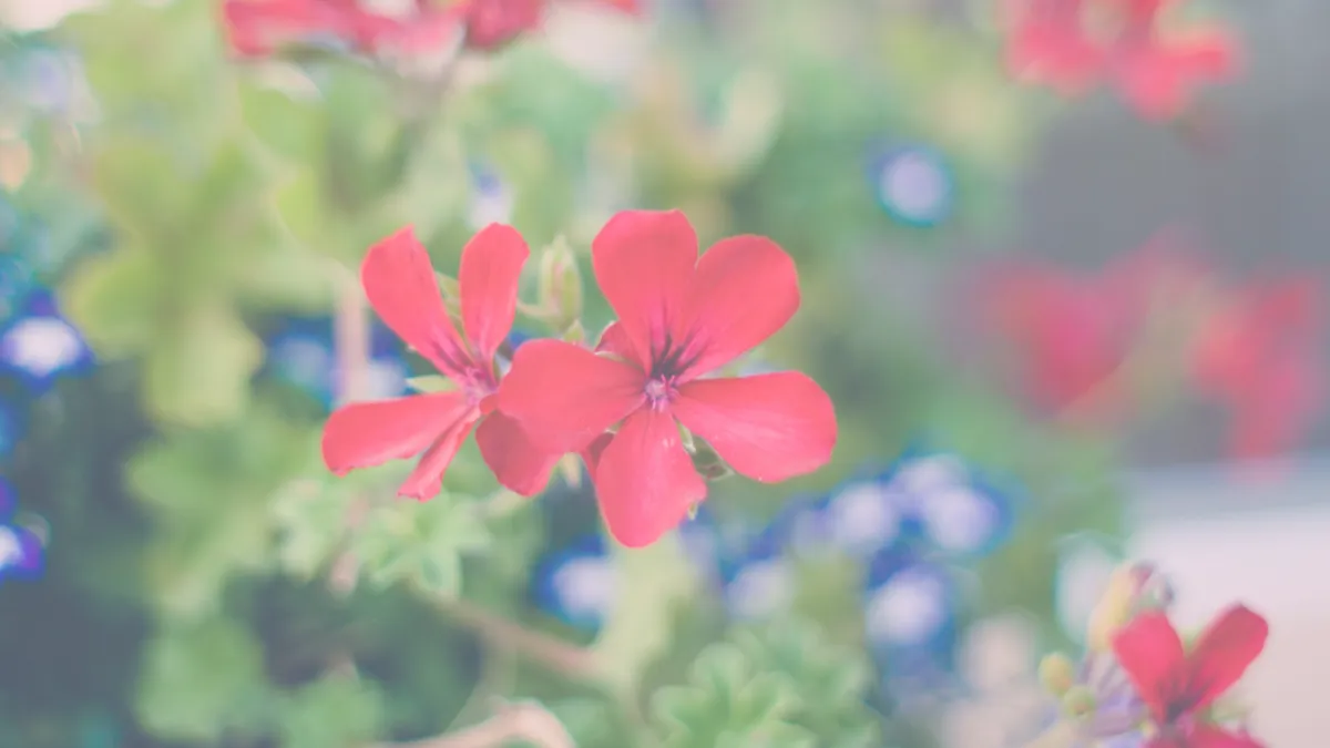 Monday Mindset: Happy Easter!  