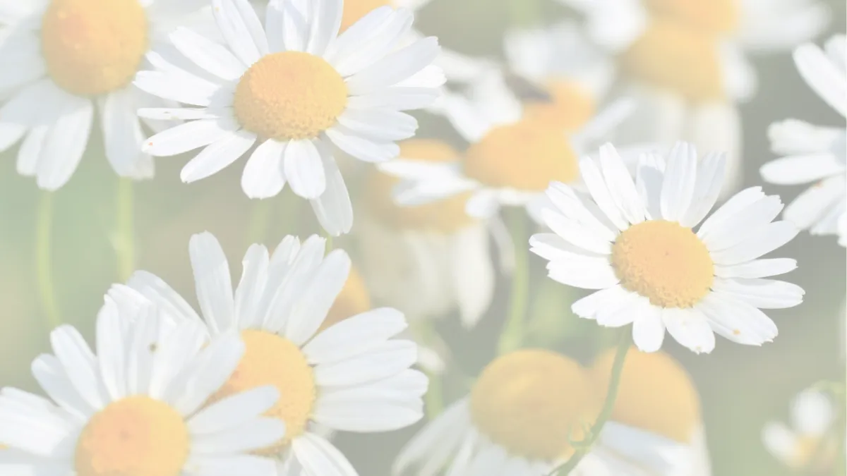 Monday Mindset: Why We Need to SURRENDER More Than Ever